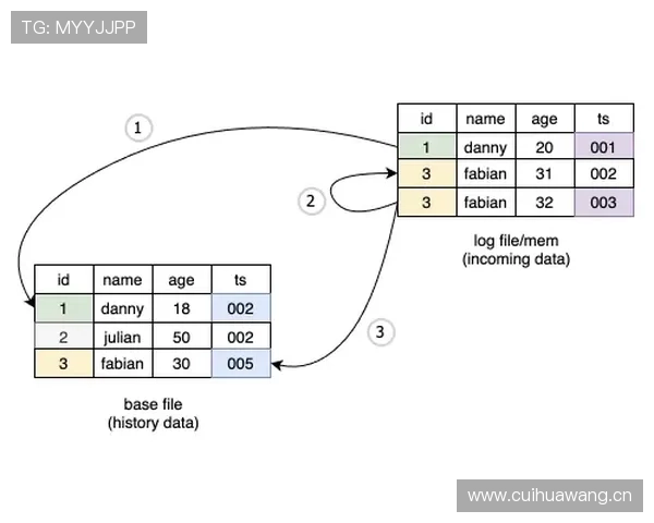 巴尔科拉强强对话隐身问题解析：关键战表现稳定性分析